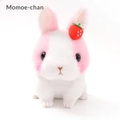 Kyun To Naki Usagi Noichigo Pika Plush Collection (Standard) -Figures and Dolls Store 6f9d9c8c5b5248b89635651d20c698eb.jpg