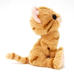 Kitten Plush: American Shorthair -Figures and Dolls Store 8a801655d4644166b639098ef4ab0fc0.jpg
